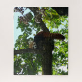 Panda rouge dans un puzzle d'arbre (Vertical)