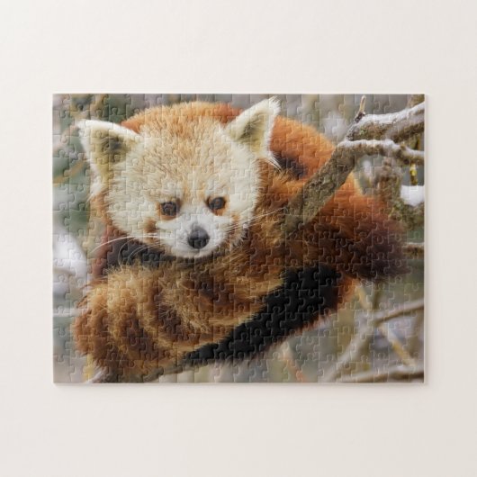 Panda rouge mignonne sur SnowTree Jigsaw Puzzle (Horizontal)