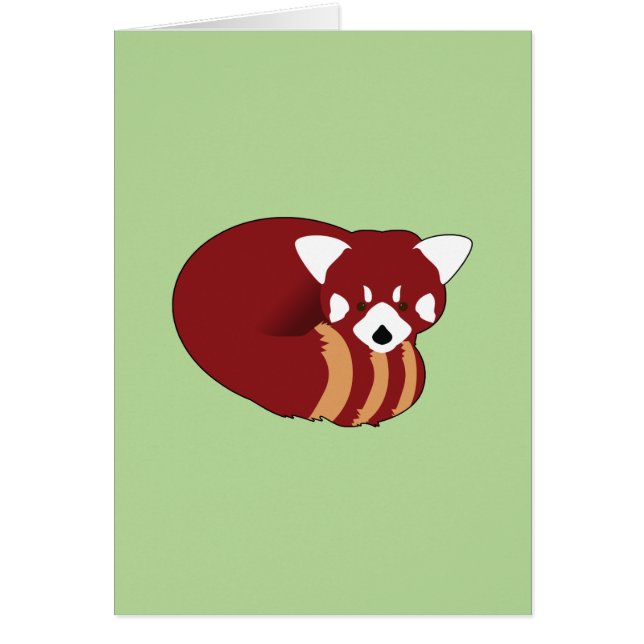 Panda roux (Devant)