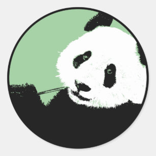 panda. Saaie cirkel. Ronde Sticker