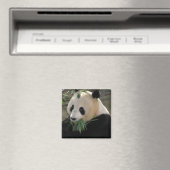 Panda Sereniteit Magneet (Insitu (Vaatwasser))