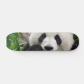 Panda Skateboard (Horizontaal)