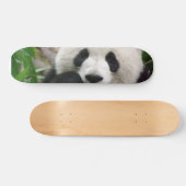 Panda Skateboard (Horizontaal)