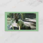 Panda Smile Cartes de visite (Dos)