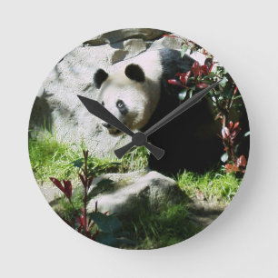 Panda Smile Wall Horloge
