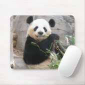 Panda Snack Muismat (Met muis)