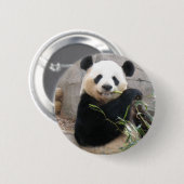 Panda Snack Ronde Button 5,7 Cm (Voorkant /achterkant)