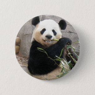 Panda Snack Ronde Button 5,7 Cm