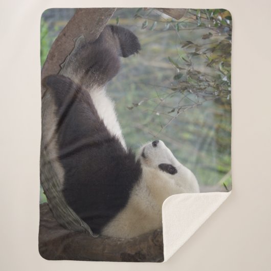 PANDA SNOOZE SHERPA DEKEN (Voorkant)