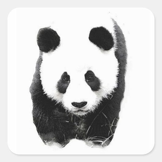 Panda Square Sticker (Voorkant)