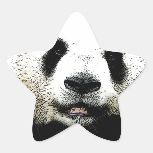 Panda Ster Sticker (Voorkant)
