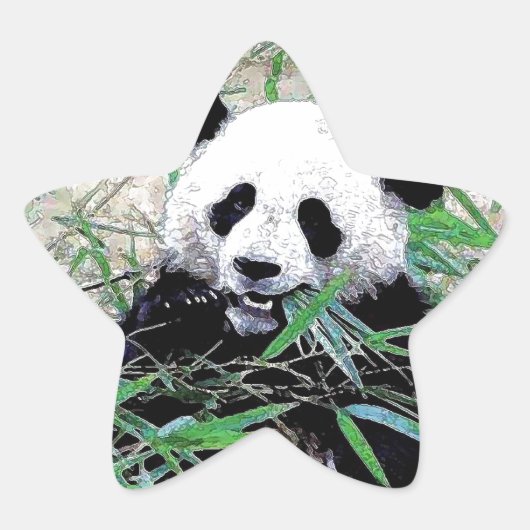 Panda Ster Sticker (Voorkant)