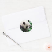 Panda Sticker (Envelop)