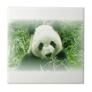 Panda Tegeltje