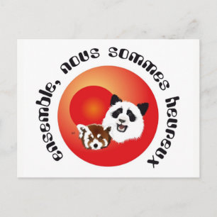 Panda Treffen Postkarte Briefkaart