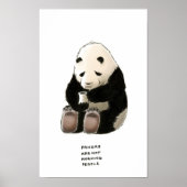 panda trivia poster (Voorkant)
