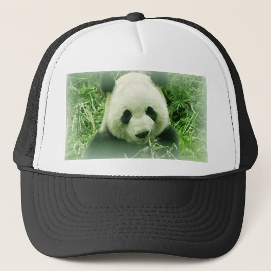 Panda Trucker Pet (Voorkant)