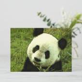 Panda Uitnodiging (Staand voorkant)