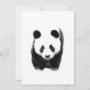 Panda Uitnodigingen