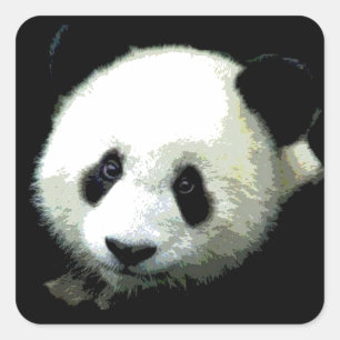 Panda Vierkante Sticker