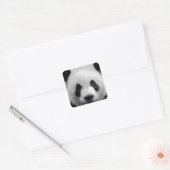 Panda Vierkante Sticker (Envelop)