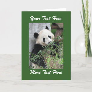Panda Voeg Je Eigen Tekst Toe Blank Binnen Alle G Kaart