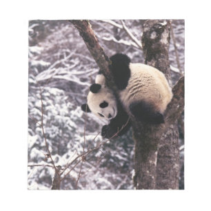 Panda welp speelt op boom bedekt met sneeuw, notitieblok