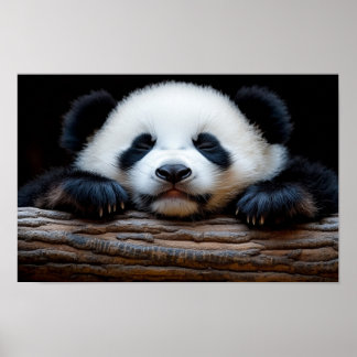Panda Wilde Dierenportret In Natuurlijke Omgeving Poster