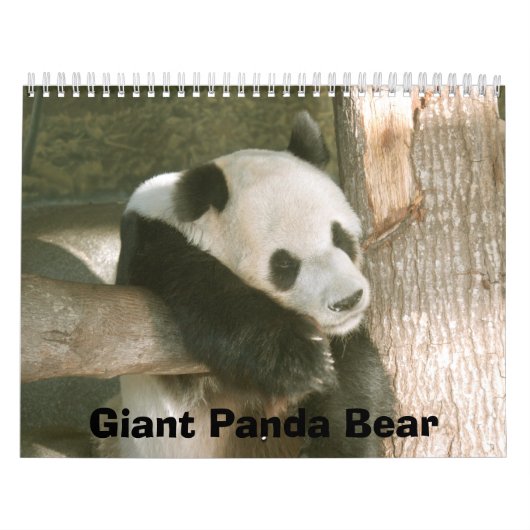 PandaM016, Giant Panda Beer Kalender (Hoes)