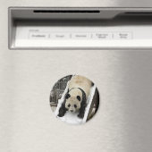 pandamagneet magneet (Insitu (Vaatwasser))