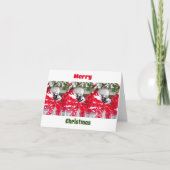 Pandas bébé mignonnes à Noël Carte de note pliée (Devant)