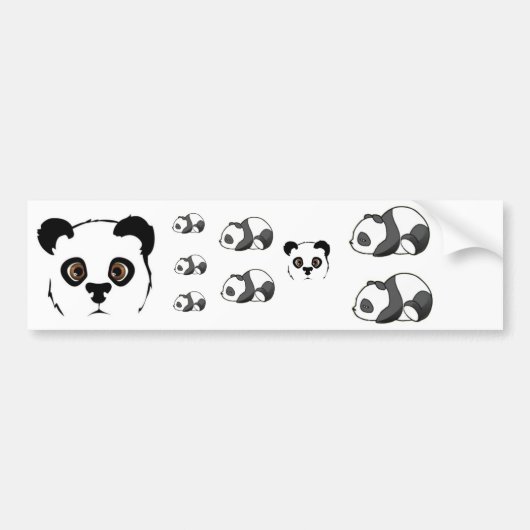 Pandas Bumpersticker (Voorkant)