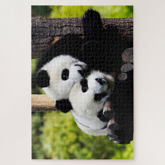 Pandas de bébé jouant, Puzzle Jigsaw (Vertical)