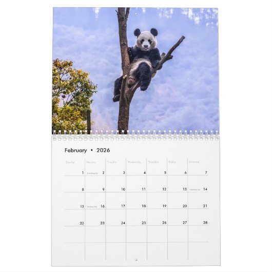 Pandas de la Chine, calendrier mural 2019 (Feb 2026)