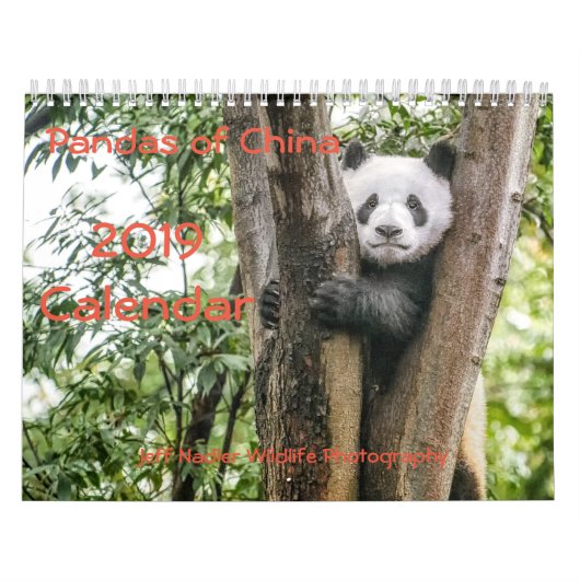 Pandas de la Chine, calendrier mural 2019 (Protection)