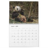 Pandas de la Chine, calendrier mural 2019 (Mar 2027)