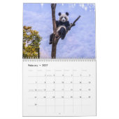 Pandas de la Chine, calendrier mural 2019 (Feb 2027)