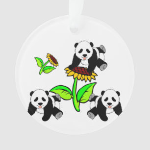 Pandas de tournesol