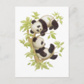 Pandas die in een boom speelt briefkaart (Voorkant)