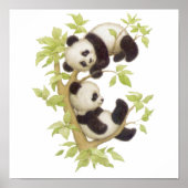 Pandas die in een boom speelt poster (Voorkant)