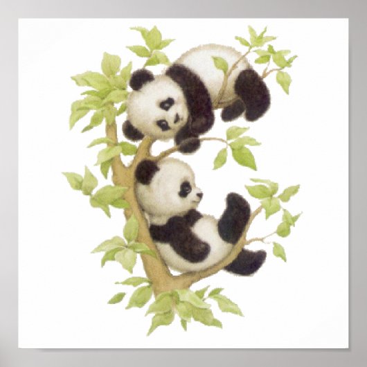 Pandas die in een boom speelt poster (Voorkant)