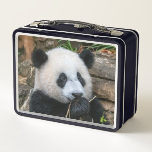 Pandas géant Mei Xiang et Xiao Qi Ji Lunch Box