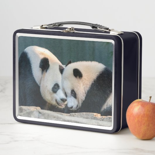 Pandas géant Mei Xiang et Xiao Qi Ji Lunch Box (En situation)