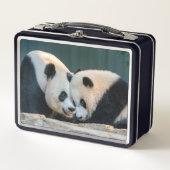 Pandas géant Mei Xiang et Xiao Qi Ji Lunch Box (Devant)