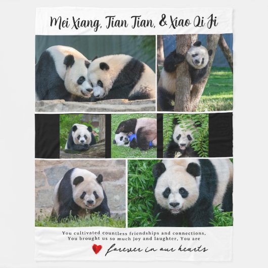 Pandas géantes DC - Couverture "Dans nos coeurs" (Devant)