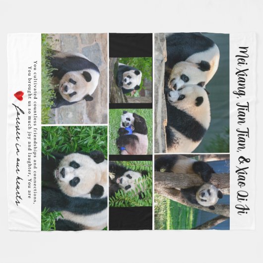 Pandas géantes DC - Couverture "Dans nos coeurs" (Devant (Horizontal))