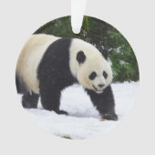 Pandas géants de Smithsonien | dans la neige (devant)