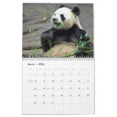 pandas géants variés et calendrier des pandas roug (Mar 2026)