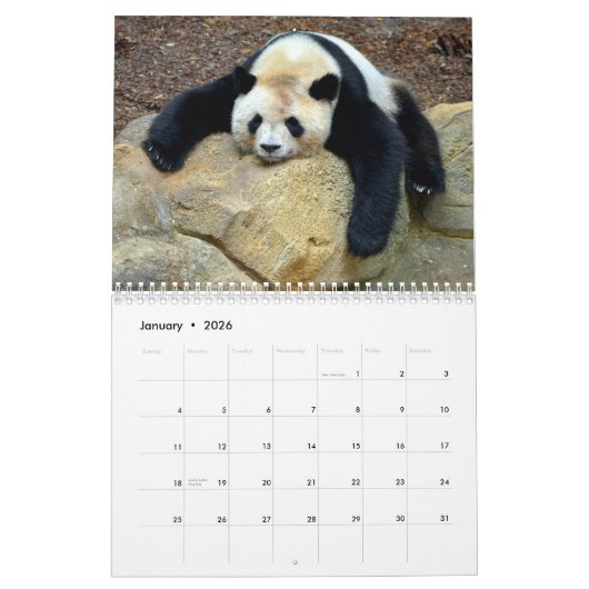 pandas géants variés et calendrier des pandas roug (Jan 2026)