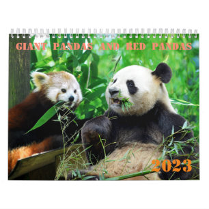 pandas géants variés et calendrier des pandas roug